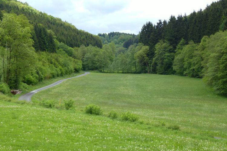 Haus Oberkirchen Naehe Winterberg Skiliftkarussell Schmallenberg Bagian luar foto